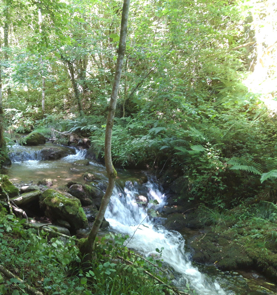 GreenGo Location Occitanie À la campagne