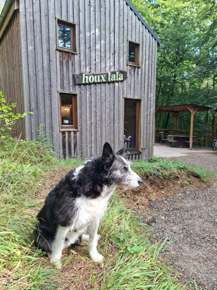 GreenGo Houx lala gîte en forêt