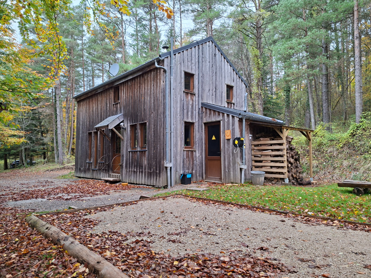 Houx lala gîte en forêt
