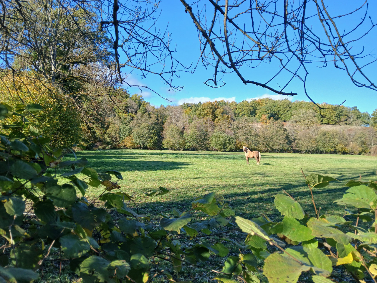 GreenGo Moulin chez Geline