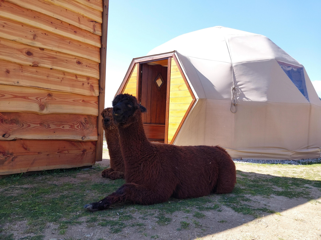 orderedImageAlt_accommodation_default