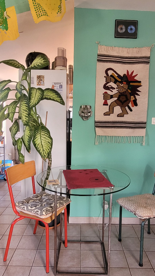 GreenGo Appartement au coeur du Panier