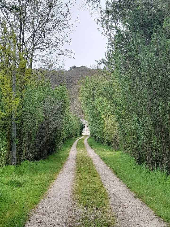 GreenGo L'herboristerie