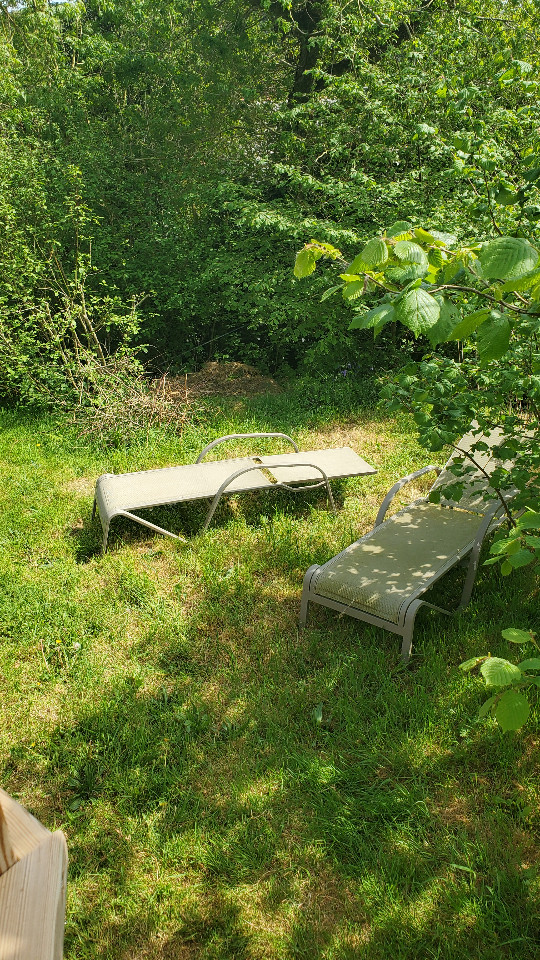 GreenGo Wooden home