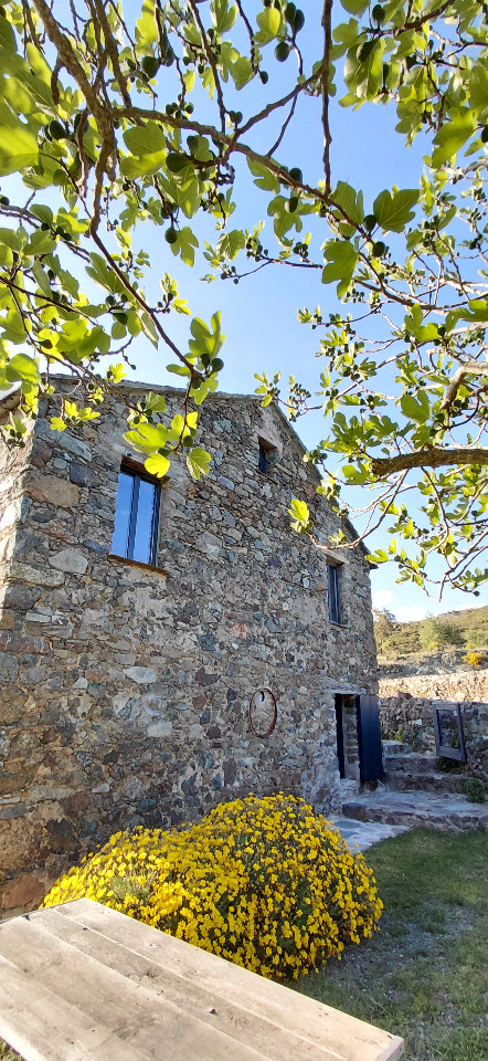 Terra Zara slowliving