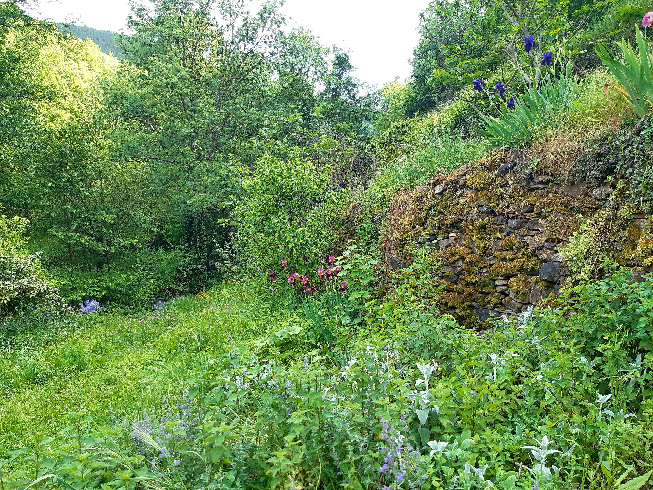 Maison de vigne rustique
