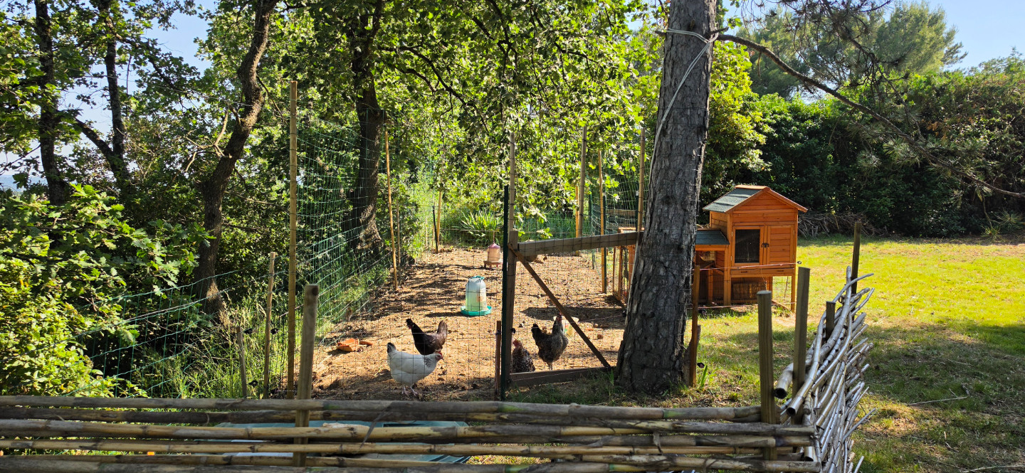 GreenGo location vacances écoresponsables