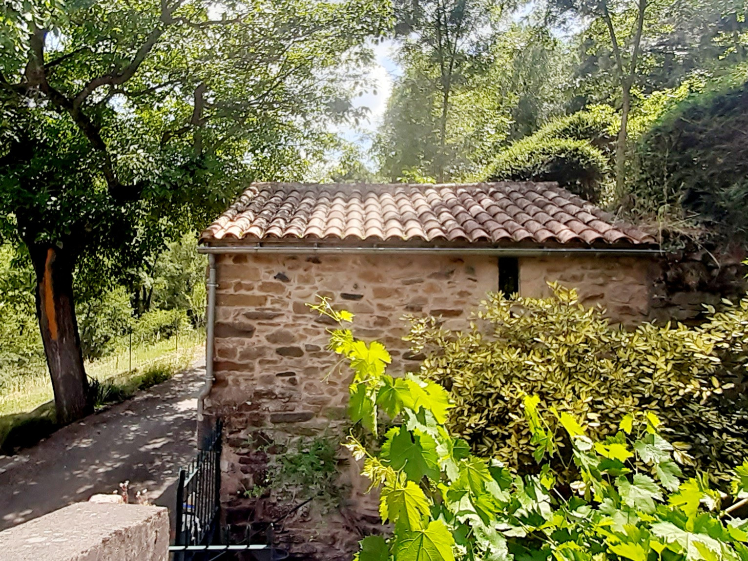 GreenGo Maison de vigne rustique