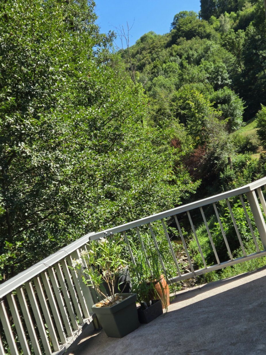 Cantal Haut-de-gamme