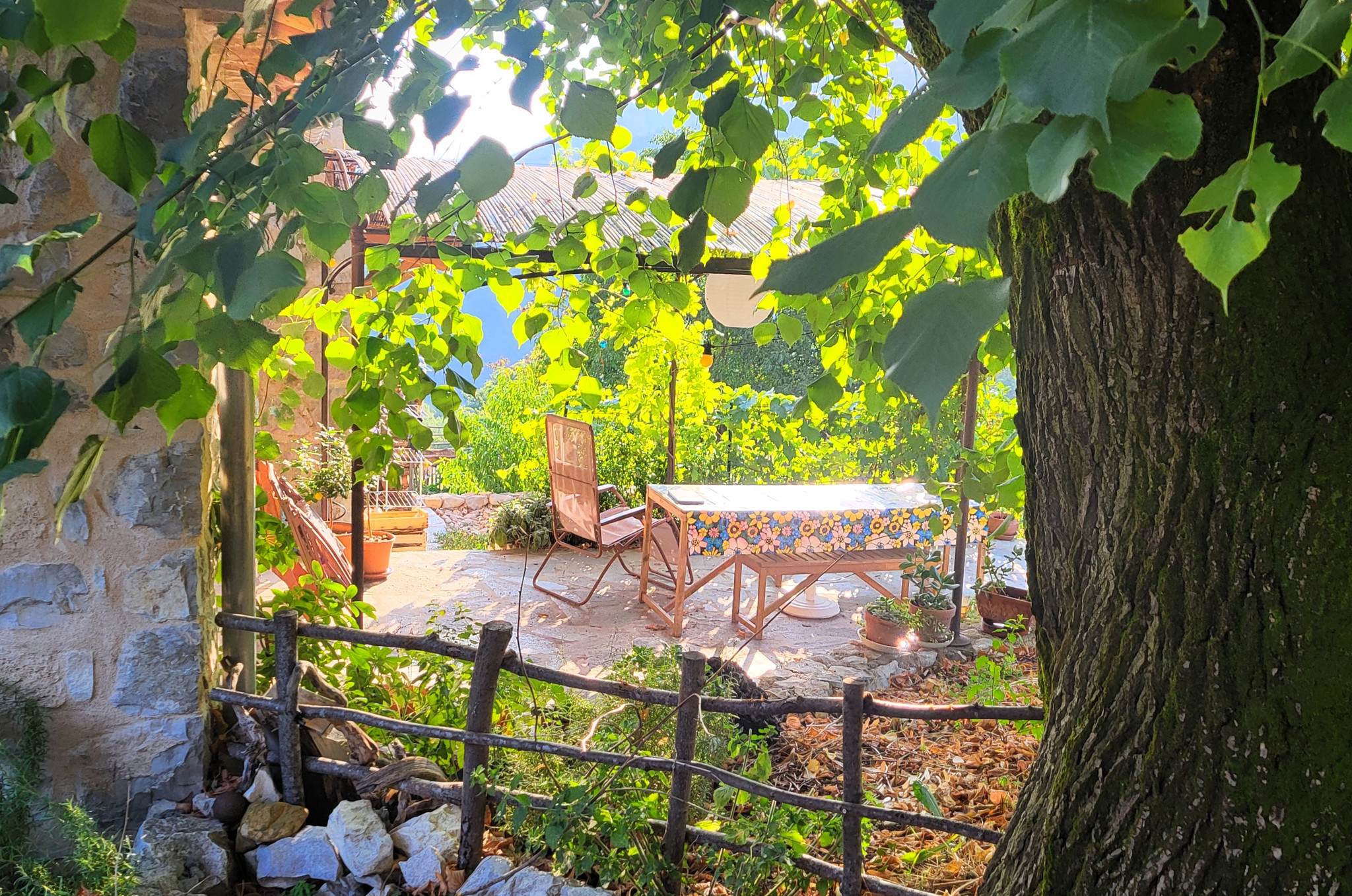 GreenGo location vacances écoresponsables
