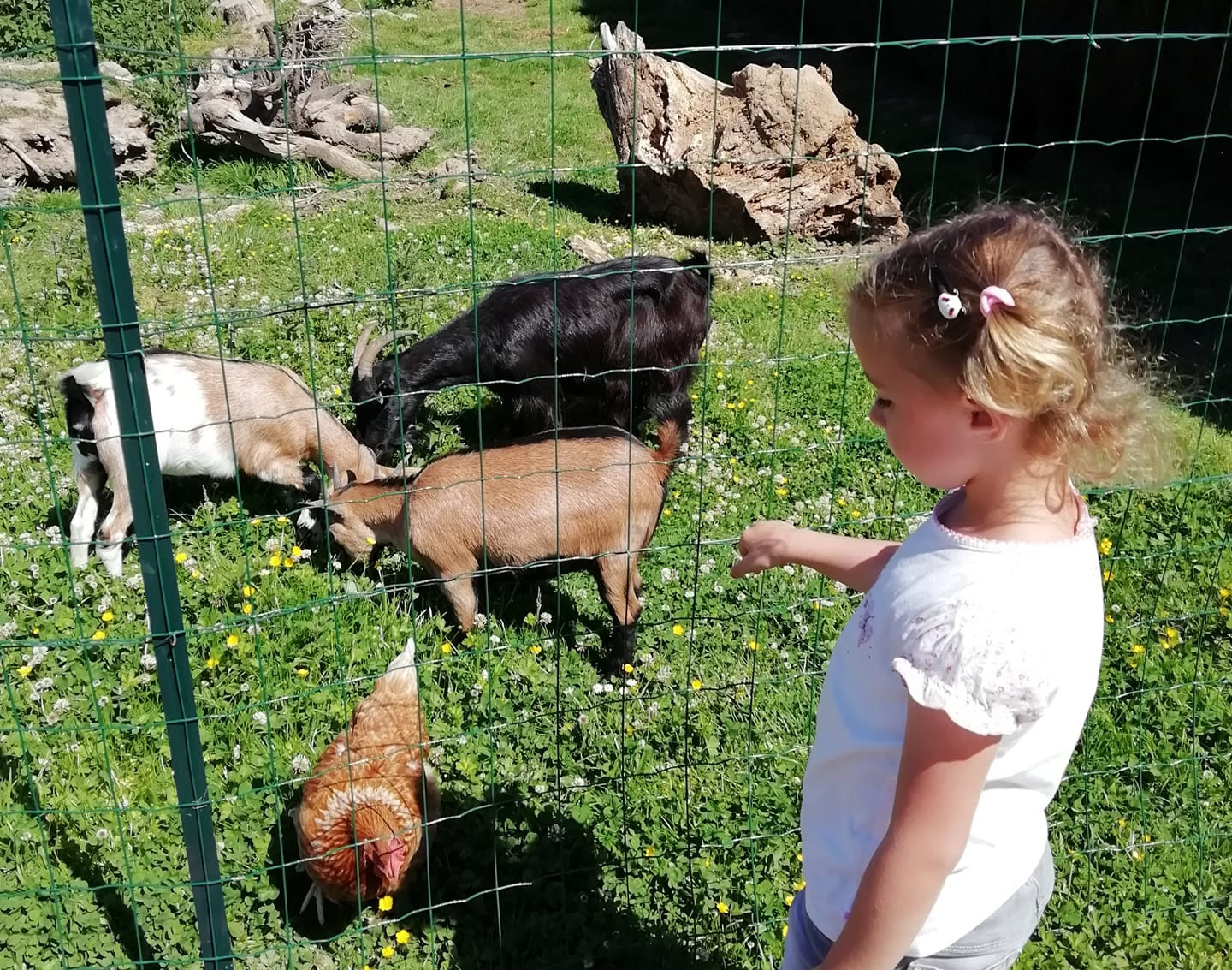 GreenGo Le bocage