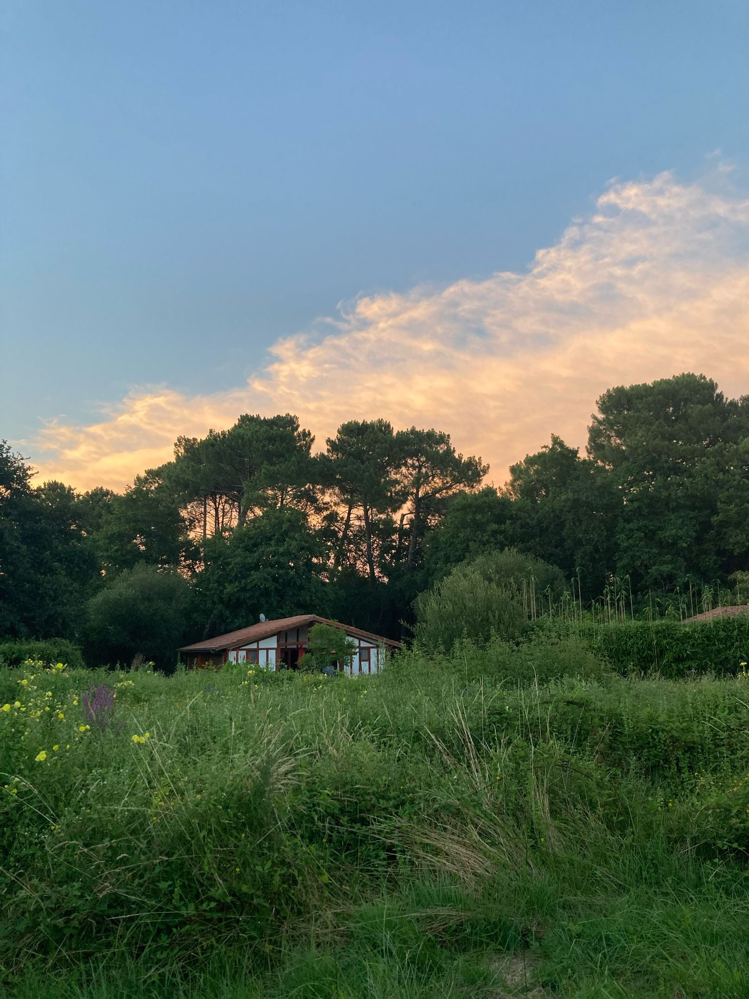 La demeure des Fougères
