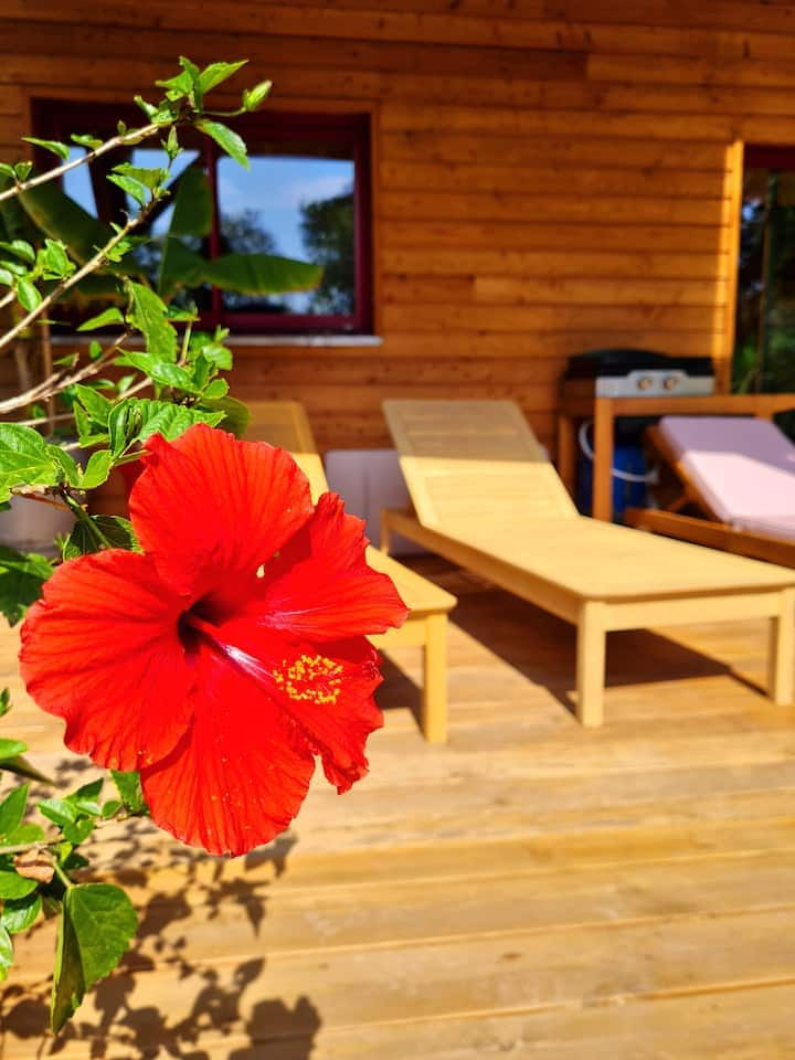 GreenGo Chambre chez l’habitant Nouvelle-Aquitaine Évasion