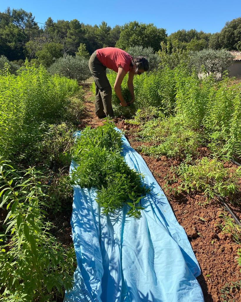 GreenGo Chambre chez l’habitant Provence-Alpes-Côte d'Azur À la campagne