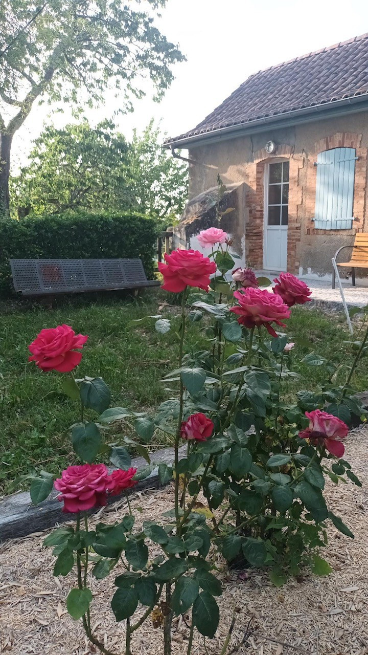  Landes À la campagne