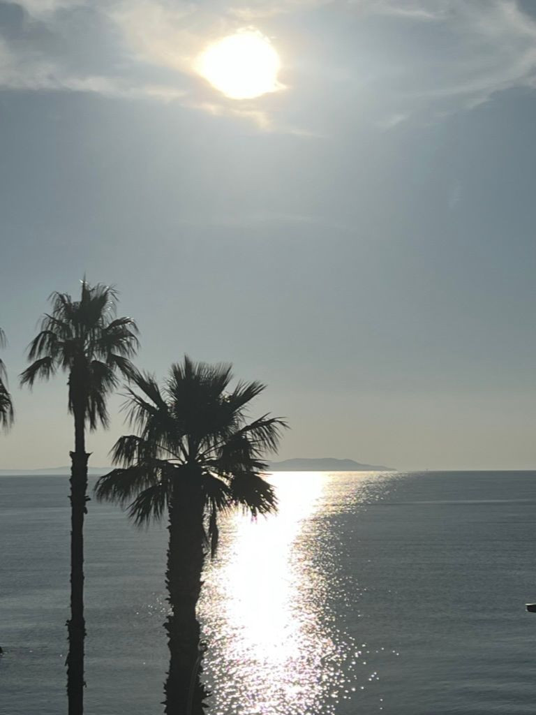Hôte GreenGo: Chez Jo : Duplex Terrasse & vue mer Hyères