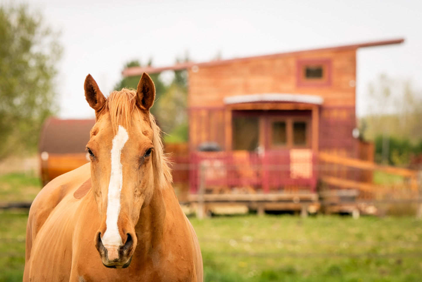 Logement GreenGo: La Tiny House de la Bastide Girondine