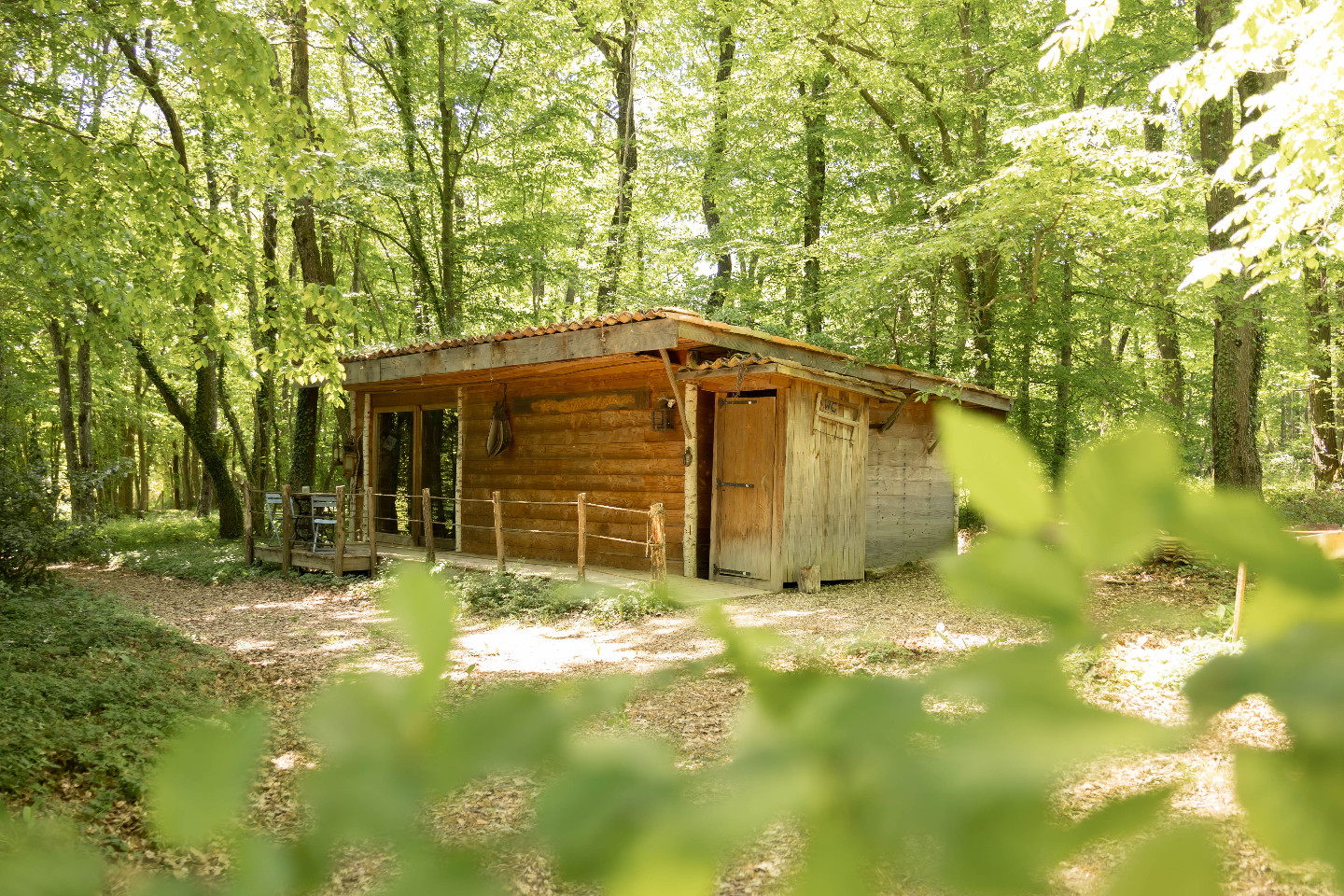 orderedImageAlt_accommodation_default