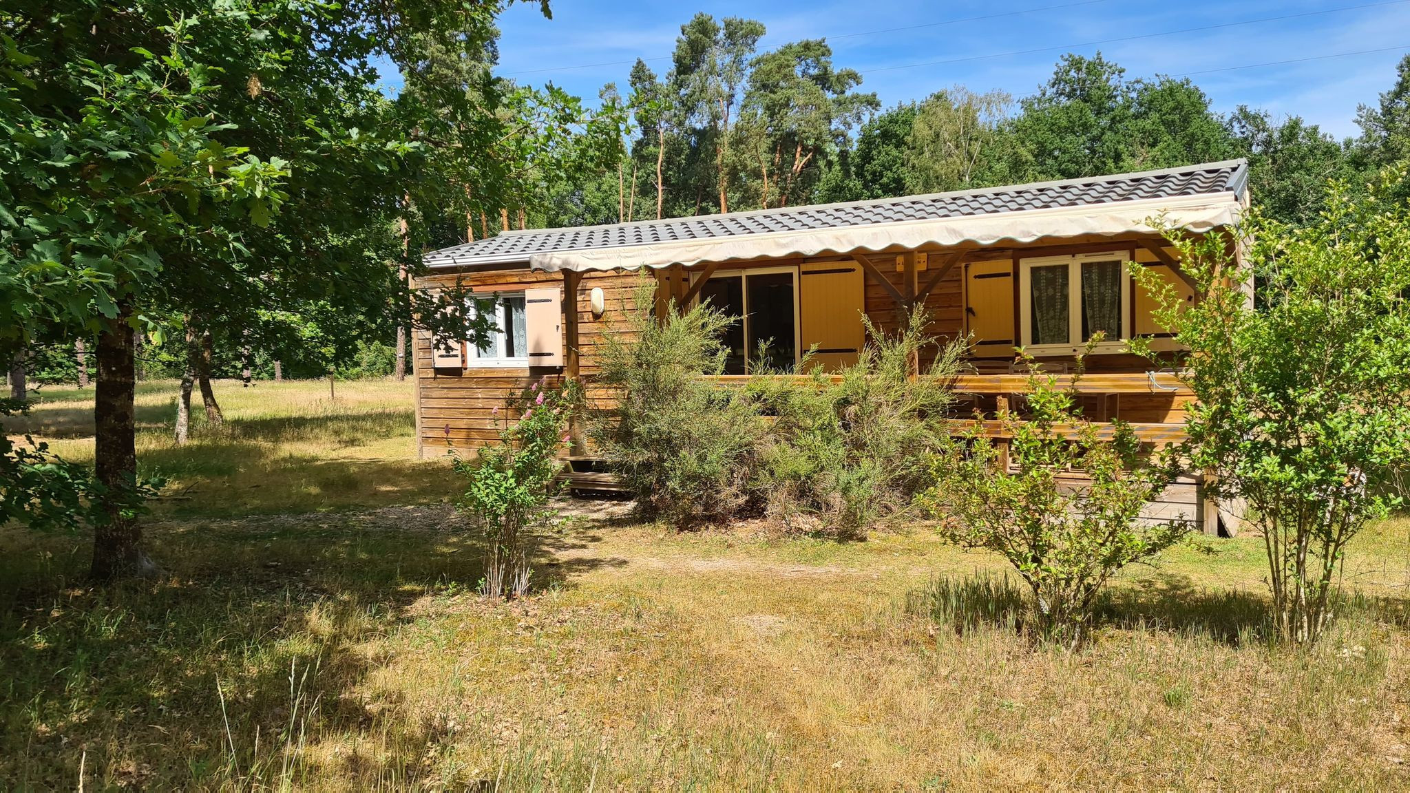 orderedImageAlt_accommodation_default