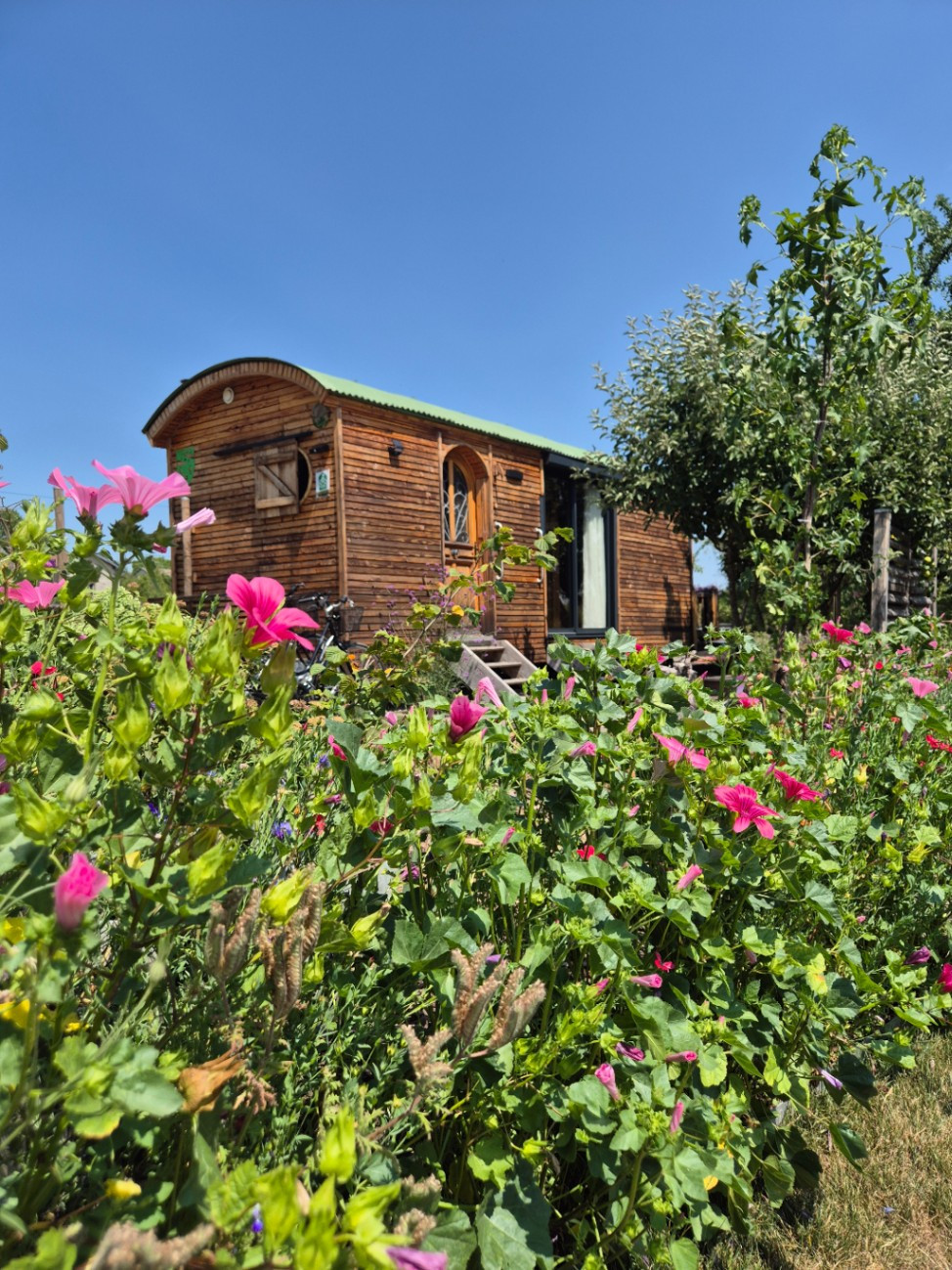 Hôte GreenGo: Grandjardin l'escapade rustique