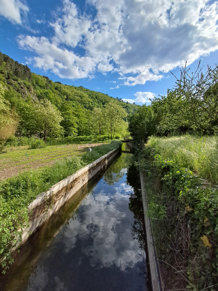GreenGo Chambre d’hôtes Auvergne-Rhône-Alpes En ville