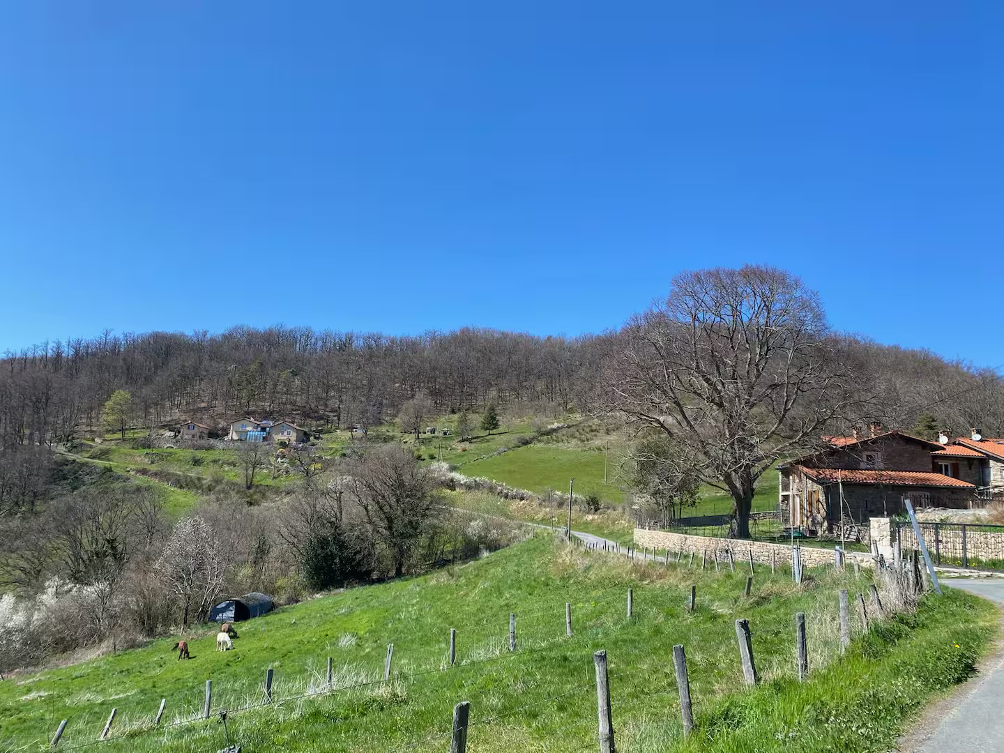 GreenGo La Maison au tilleul