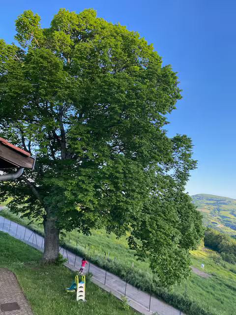  Rhône À la campagne