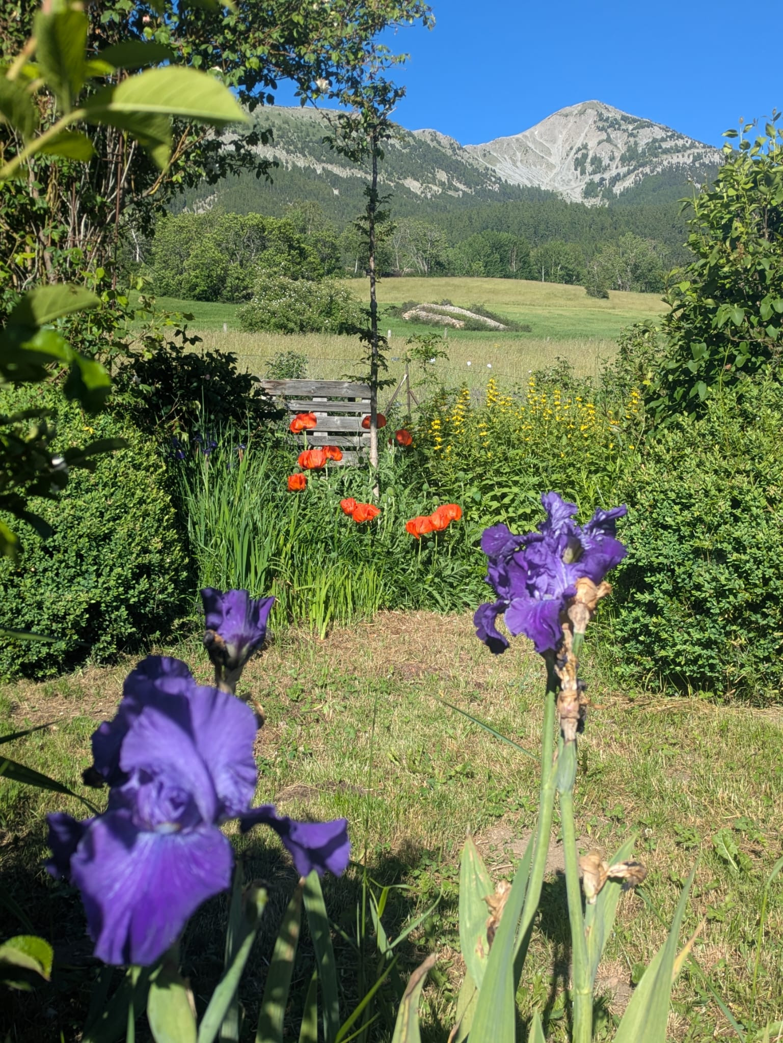 GreenGo Gîte Provence-Alpes-Côte d'Azur Évasion