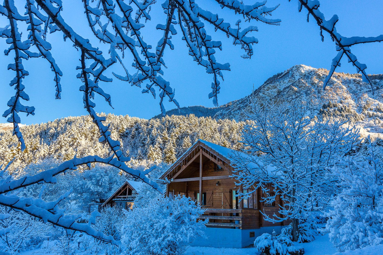 GreenGo Chalet Carpe Diem