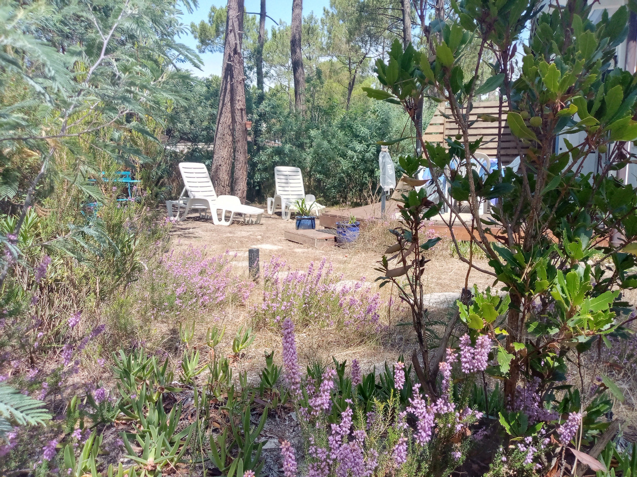 GreenGo location vacances écoresponsables