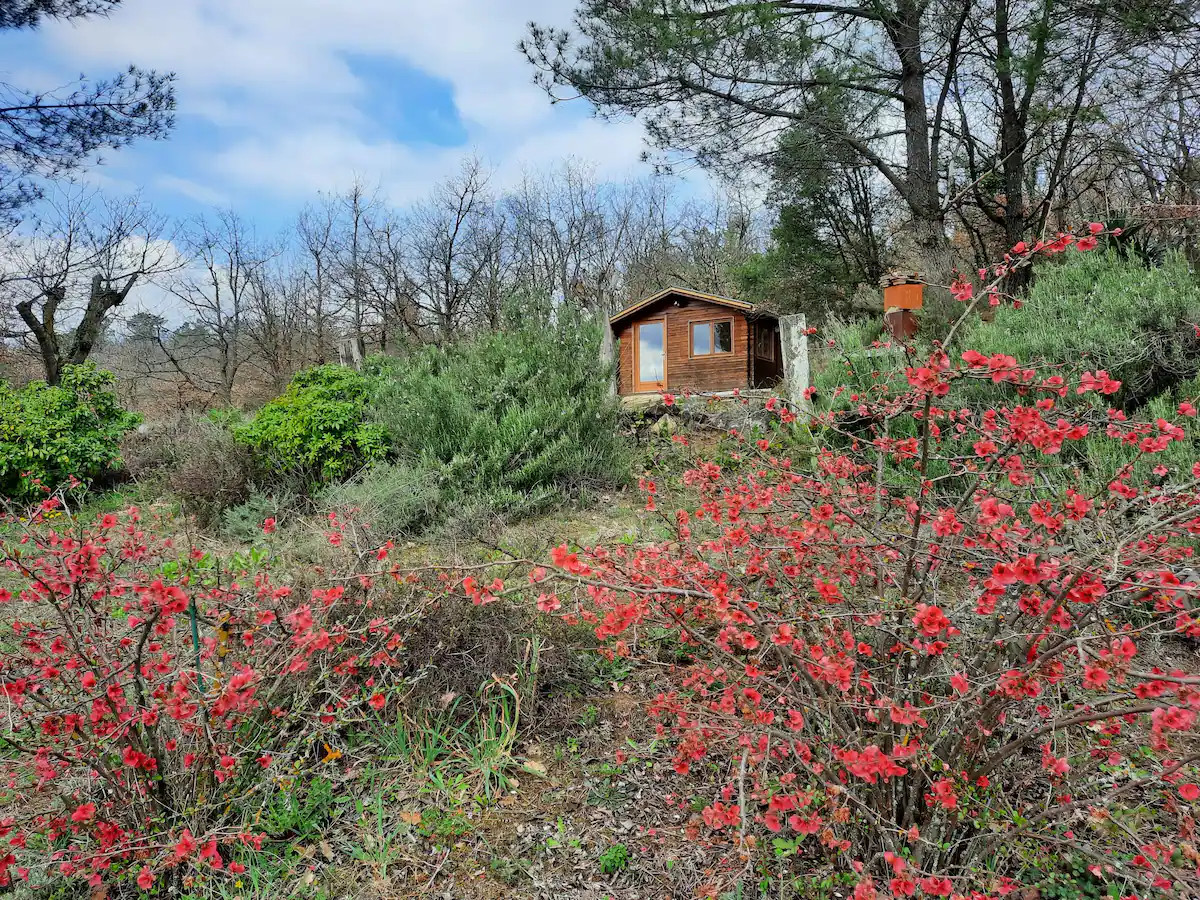 Hôte GreenGo: Chalet en pleine nature vue sur les alpes