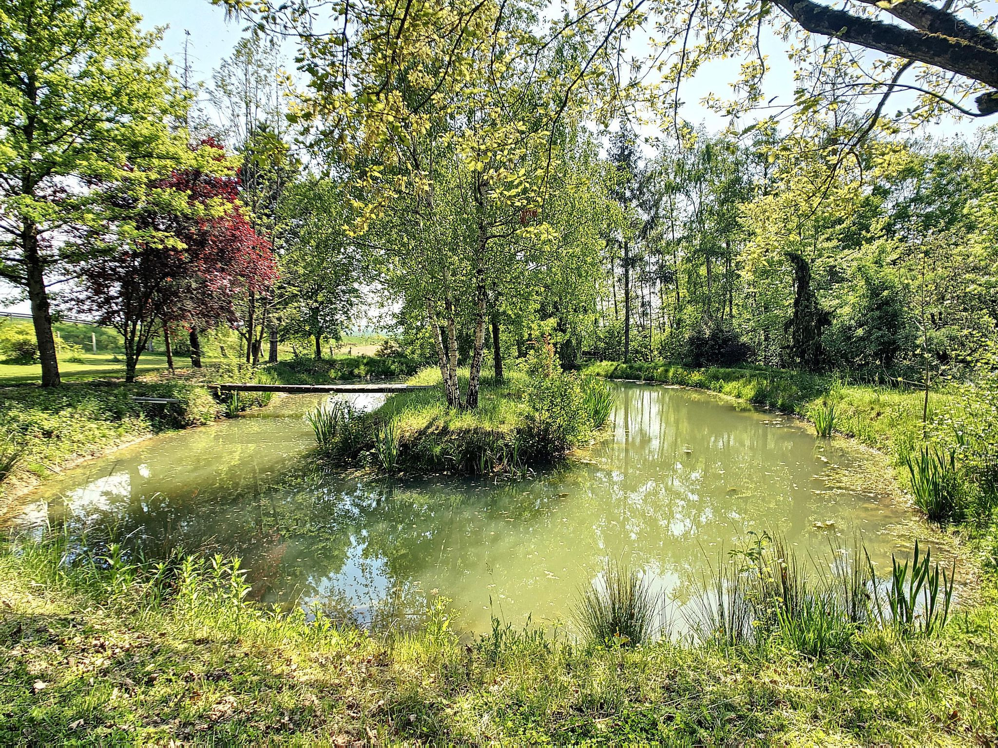 GreenGo Gîte Grand Est À la campagne