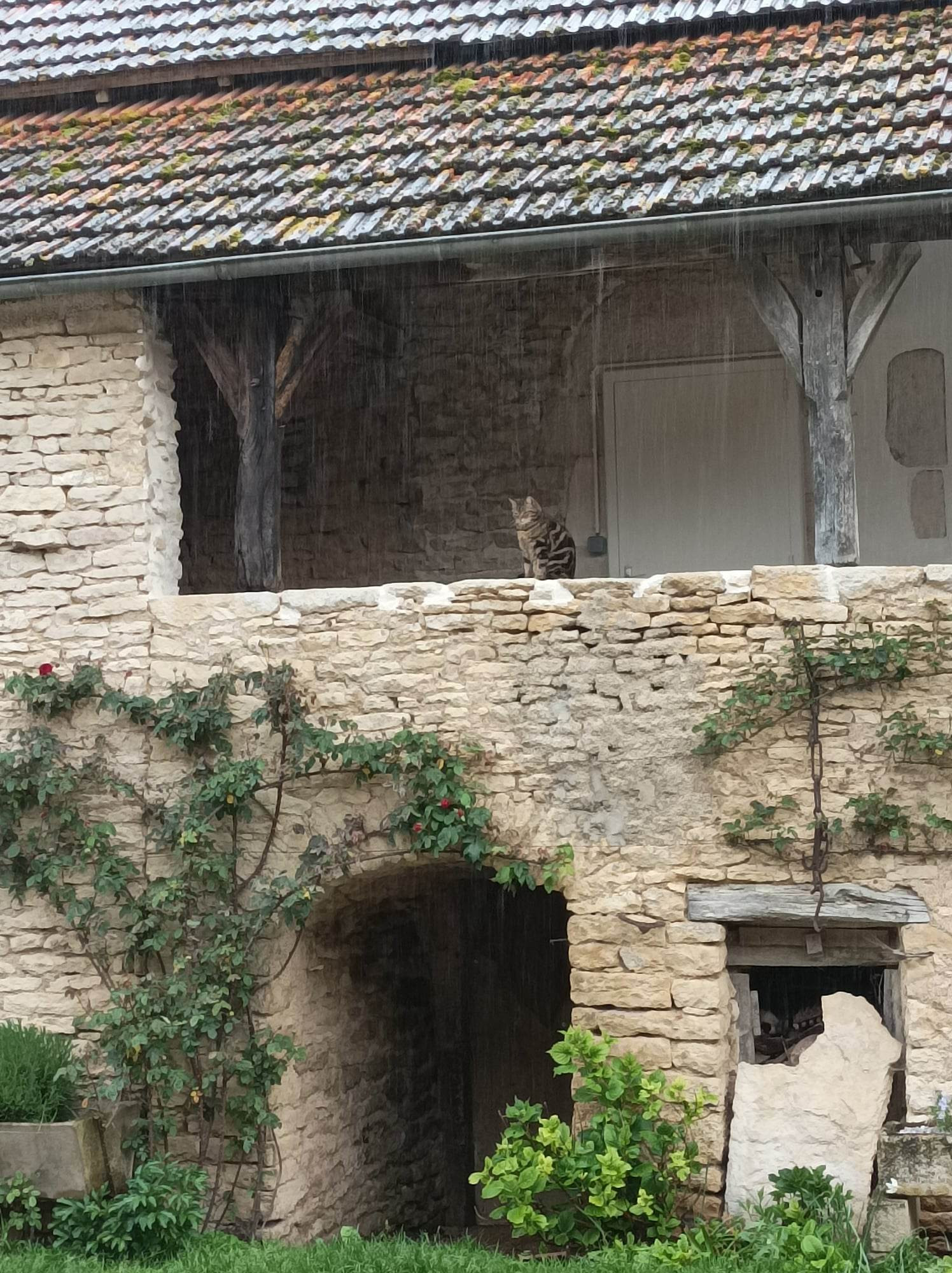 GreenGo Gîte à la ferme