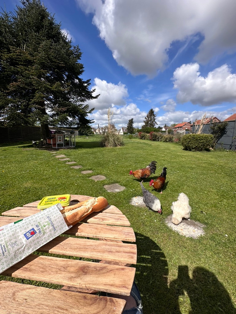 Charme et détente à la campagne