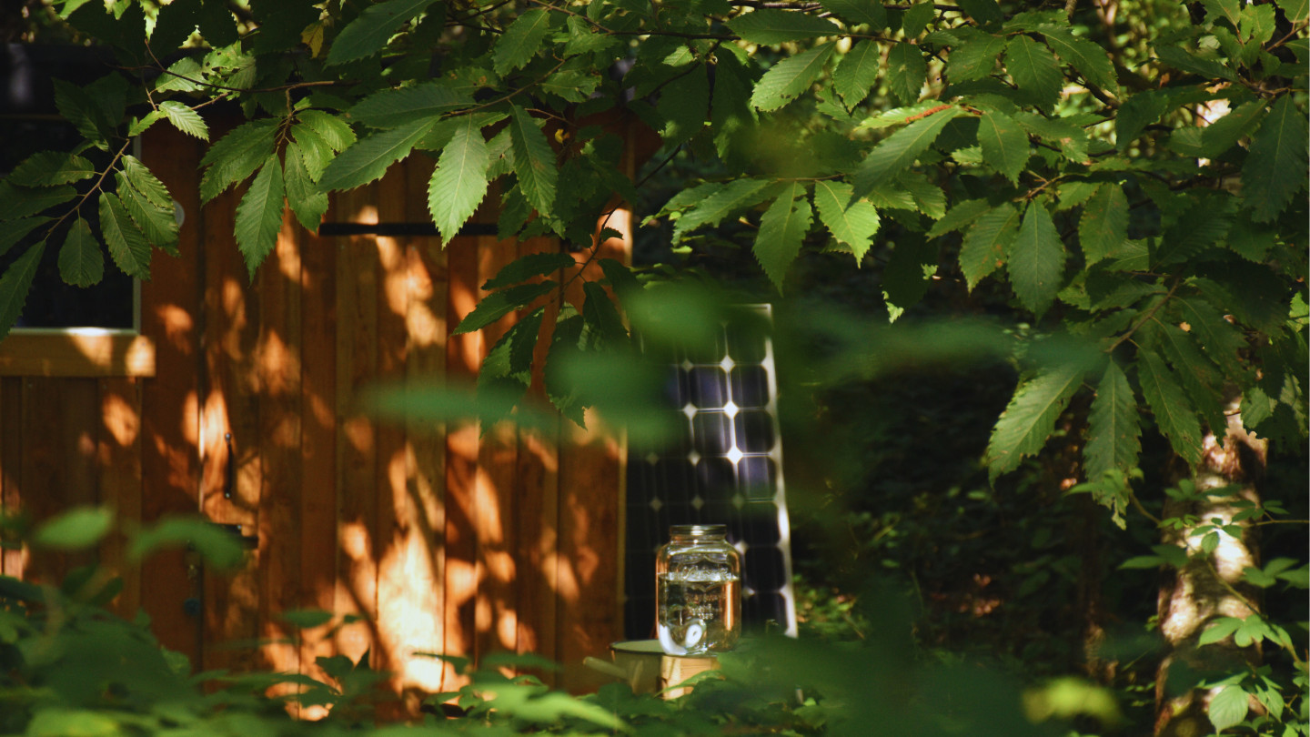 GreenGo Chambre scandinave au milieu d'un parc forestier