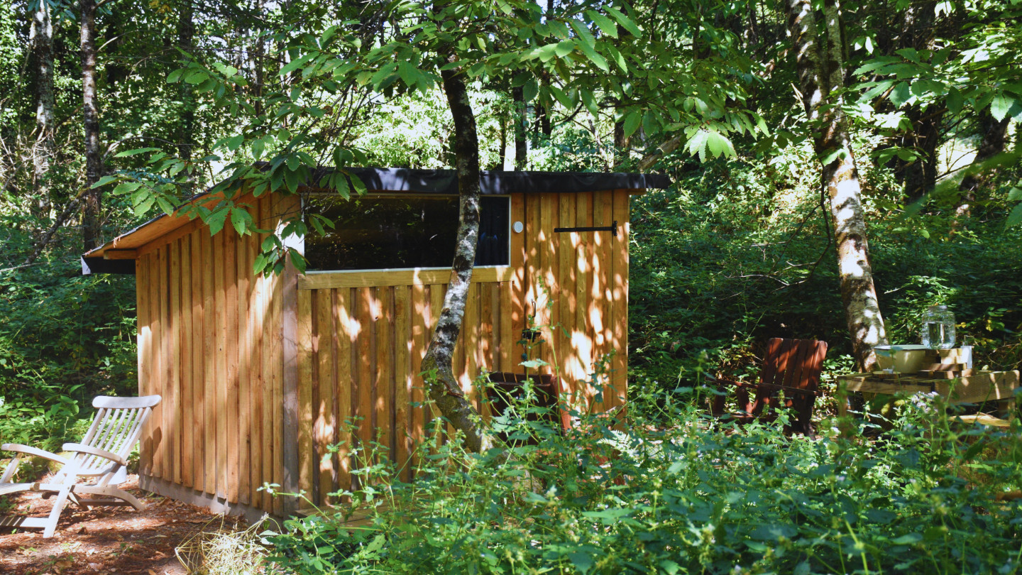 Hôte GreenGo: Chambre scandinave au milieu d'un parc forestier