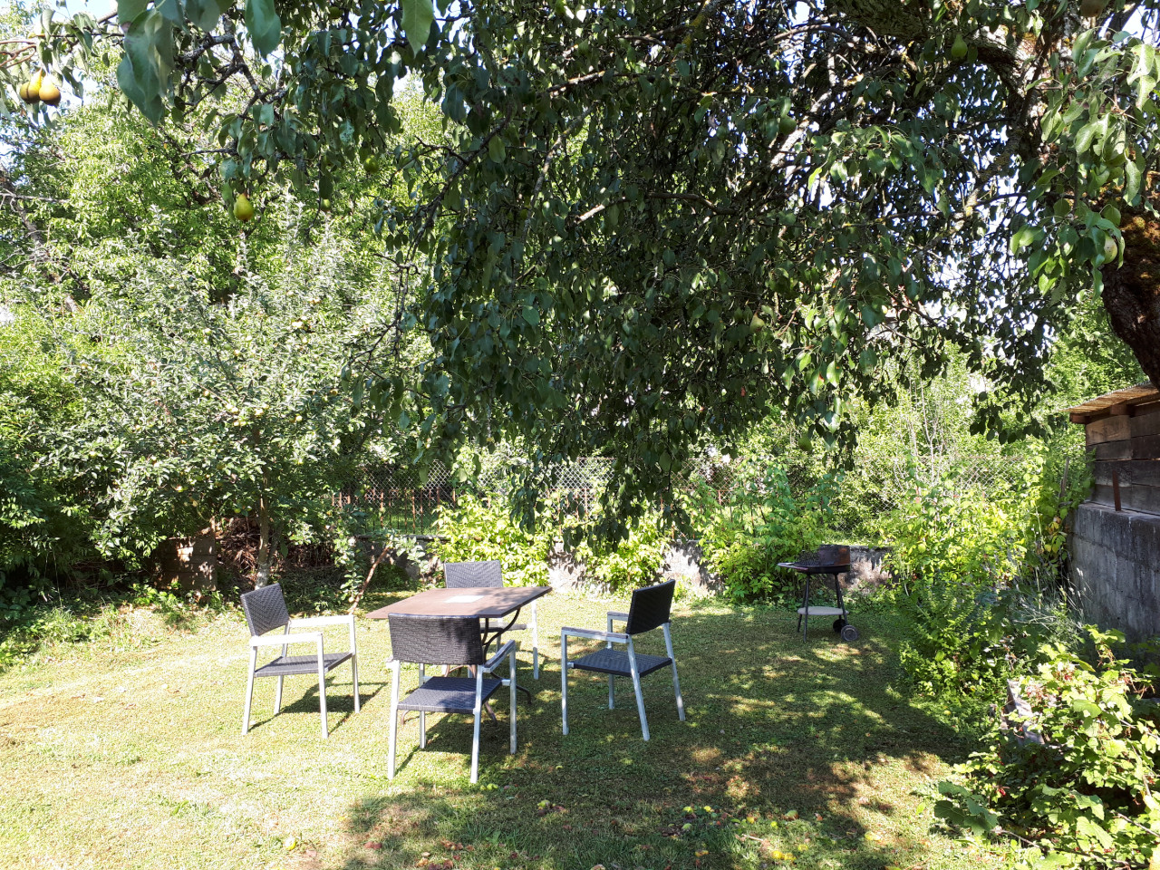 GreenGo Location Auvergne-Rhône-Alpes En ville