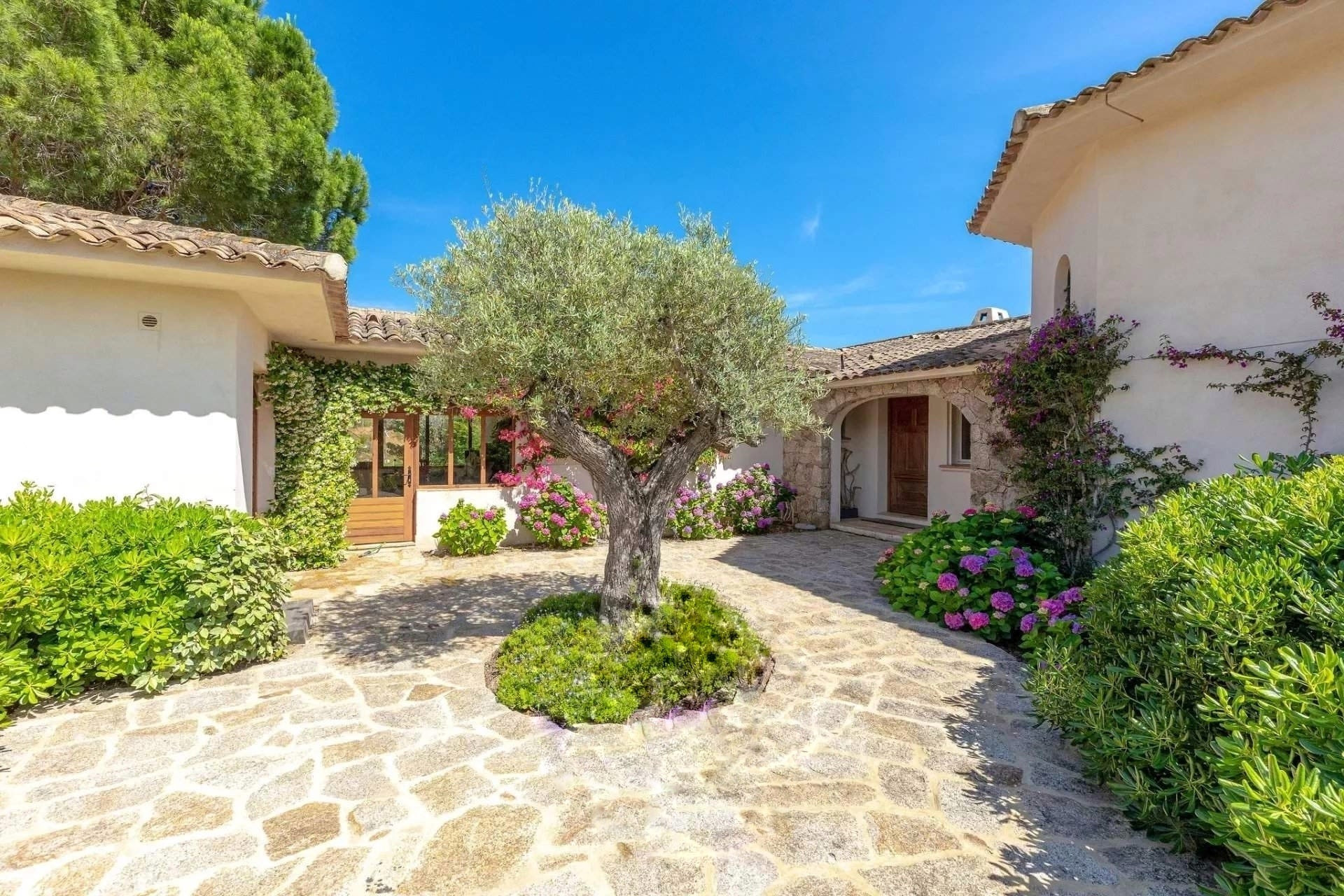 GreenGo Location Corse Bien-être