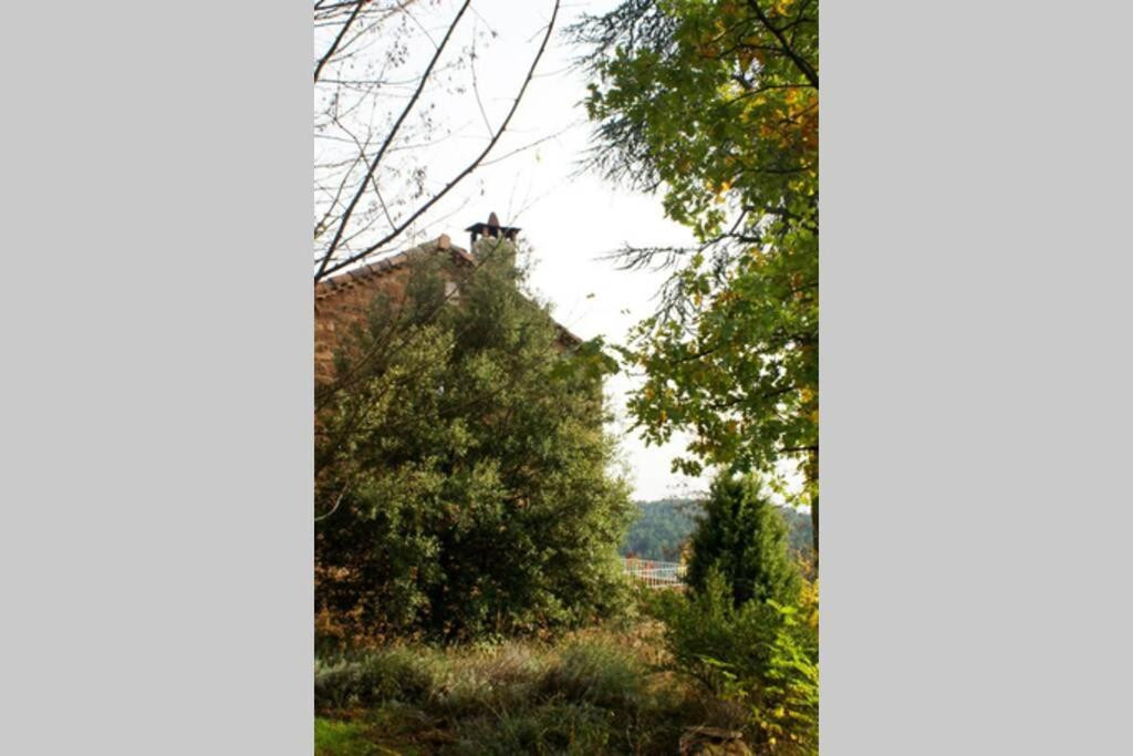 GreenGo Gîte Auvergne-Rhône-Alpes Évasion