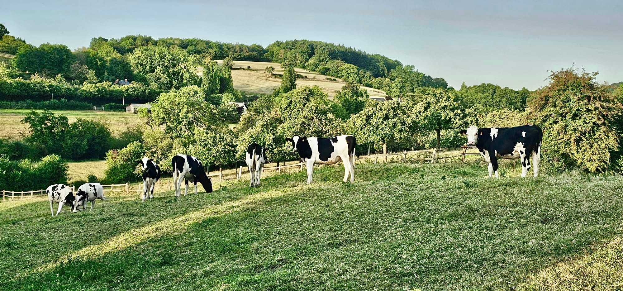 GreenGo location vacances écoresponsables