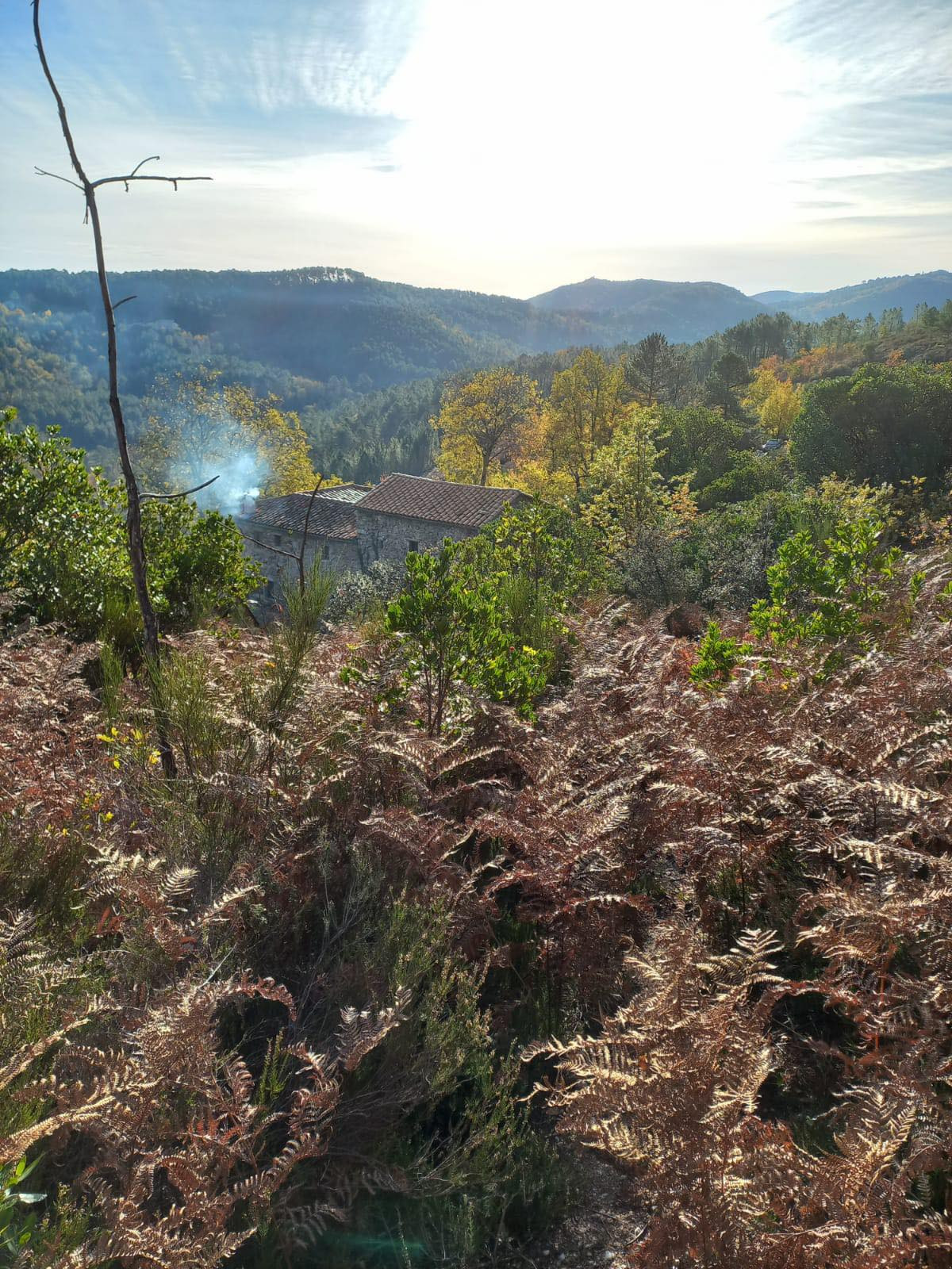 GreenGo Location Occitanie À la campagne