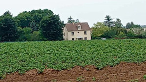 L'arche des whichats