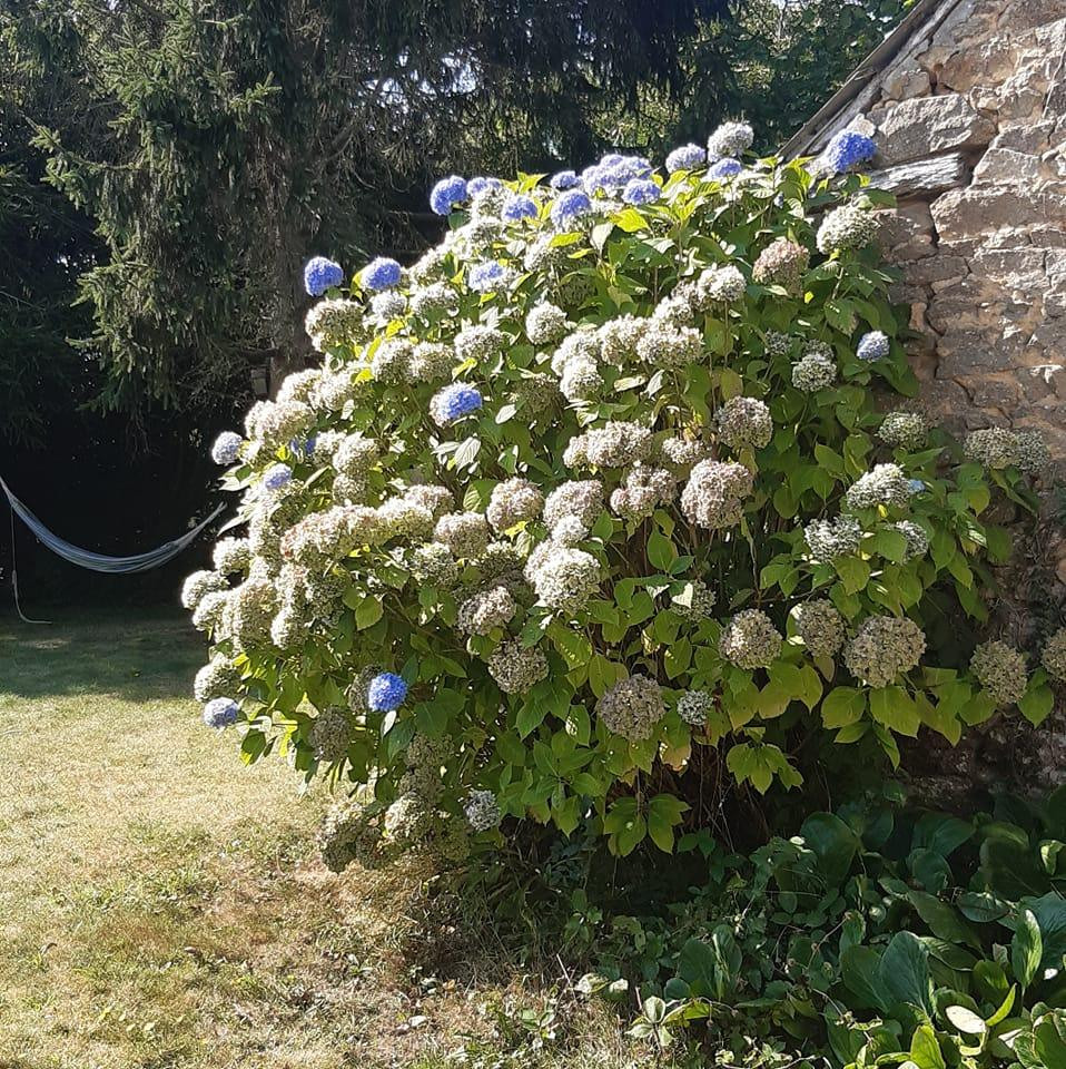 GreenGo Chambre d’hôtes Bretagne À la campagne