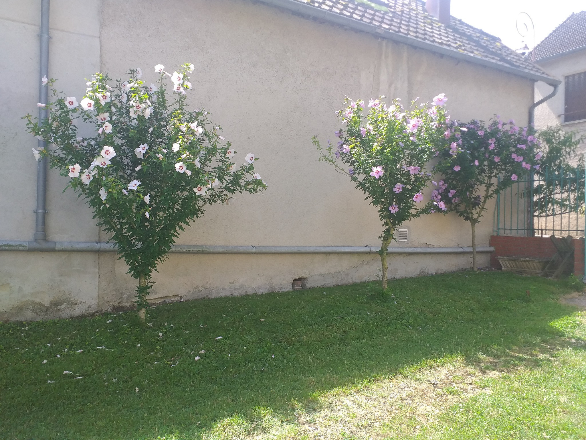 GreenGo Le Gîte "chez Papy"