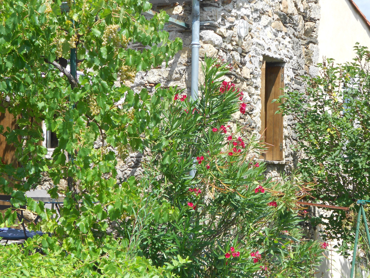 GreenGo location vacances écoresponsables