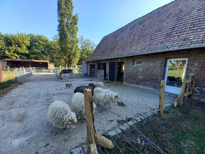 GreenGo Retour aux sources parmi les animaux à la ferme les Sens de Vivre