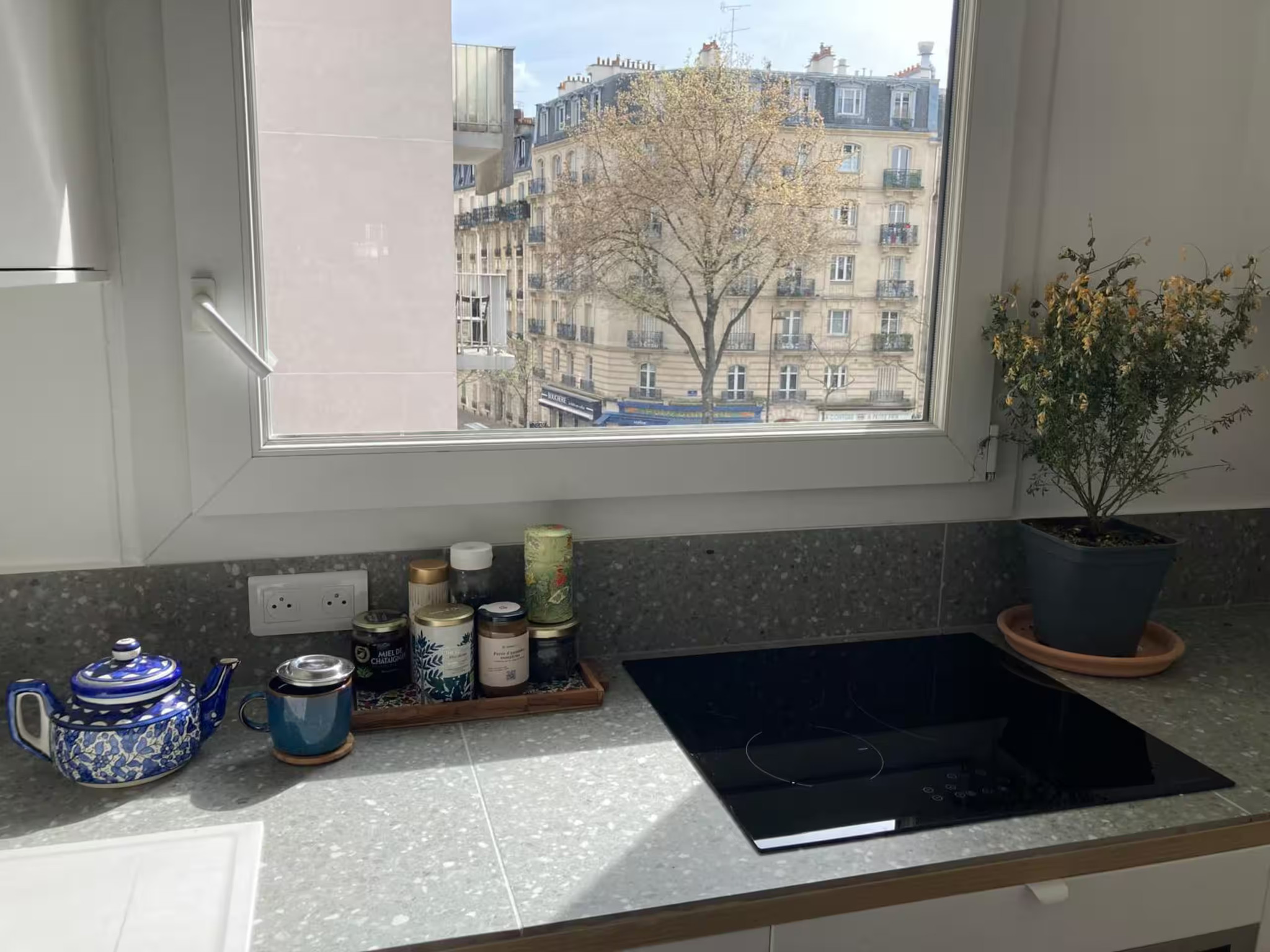 GreenGo location vacances écoresponsables