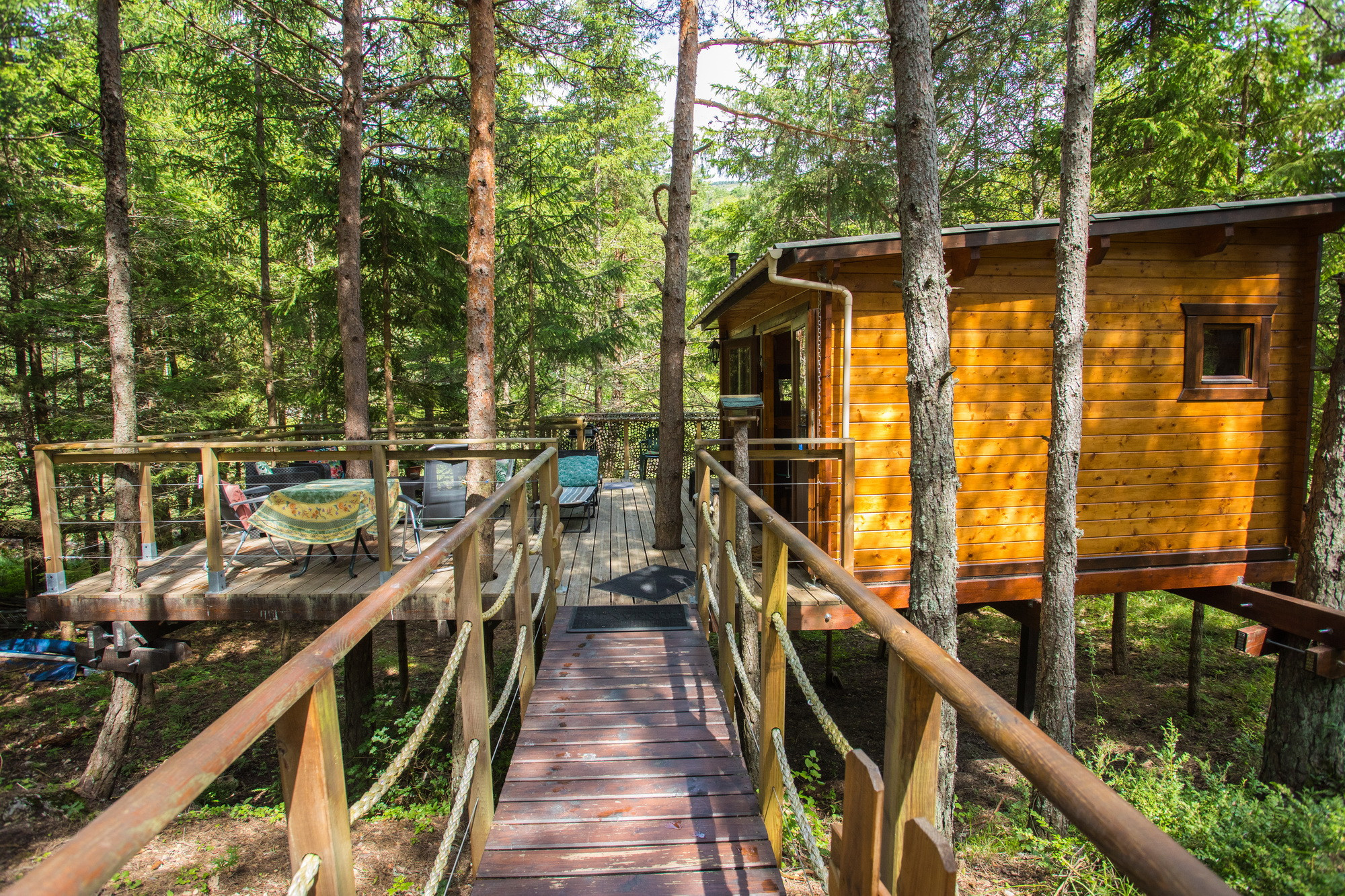 Hôte GreenGo: La Cabane perchée dans les arbres