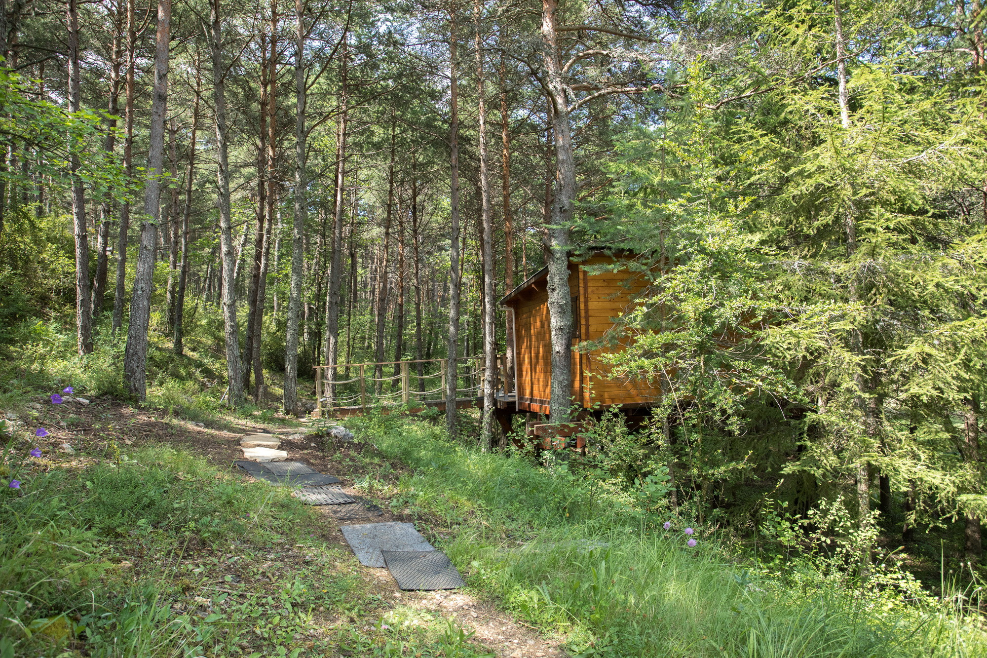 GreenGo La Cabane perchée dans les arbres