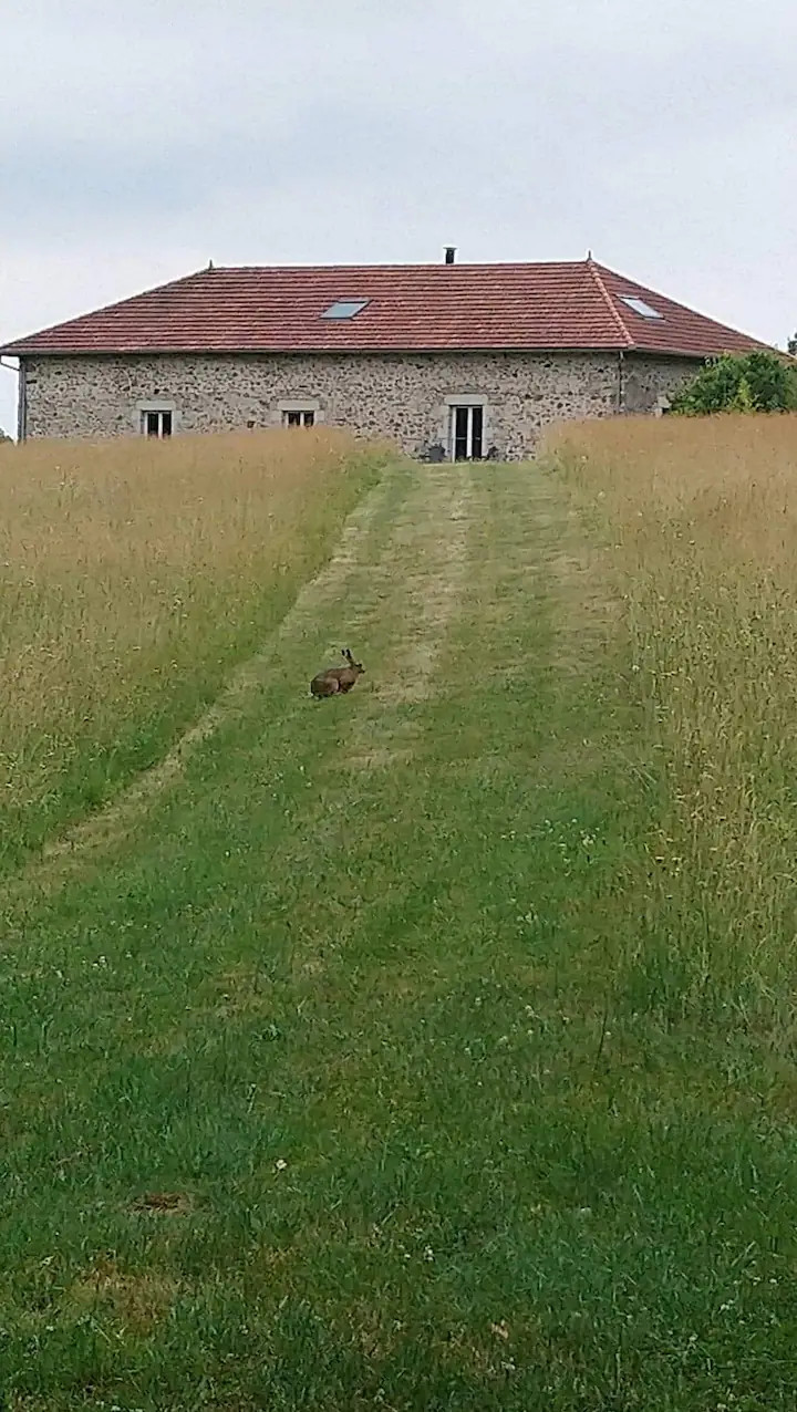 GreenGo Havre de verdure et de paix